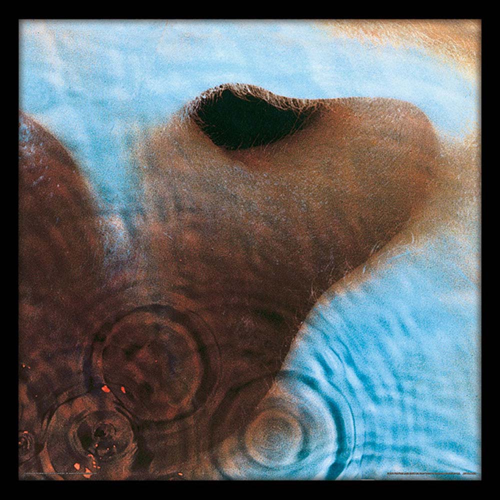 PINK FLOYD ピンクフロイド (結成 60周年 ) - Meddle(アルバム・シリーズ額) / インテリア額 - PGS